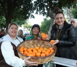 Antalya’nın turunçları kadın emeğiyle sofralara uzanıyor!
