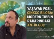 Yaşayan Fosil Ginkgo Biloba: Modern Tıbbın Radarındaki Antik Güç